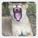 Suche nach masai aufkleber Kenya