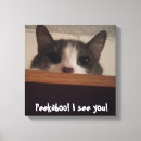Suche nach eingewickelte leinwandbilder Katze