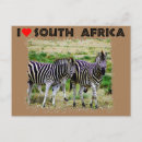 Suche nach junges tier postkarten Tierwelt