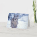 Suche nach luchs karten Schnee