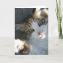 Suche nach ist jetzt eine gute zeit karten Denken sie