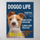 Suche nach parody poster Parodie