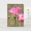 Suche nach mohnblume karten Rosa