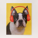 Suche nach boston terrier puzzle Welpe