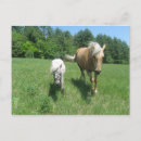 Suche nach morgan poster Bauernhof