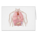Suche nach lunge postkarten Physiologie