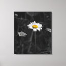 Suche nach abgeschieden leinwandbilder Blume