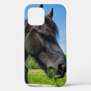Suche nach friesisch iphone hüllen Tier