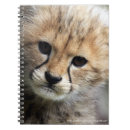 Suche nach katzenartig kleine notizbücher Wilde katze
