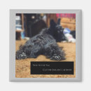 Suche nach schwänze magnete Niedlich