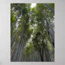 Suche nach bambuswald poster Kyoto