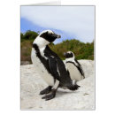 Suche nach pinguinkarte Vögel