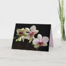 Suche nach motte karten Weiß