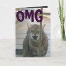 Suche nach omg karten Katze