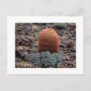 Suche nach daumen postkarten Wüste