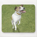 Suche nach lang mousepads Weiß