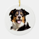 Suche nach waliser ornamente Hund