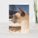 Suche nach profil karten Katze