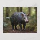 Suche nach tapir postkarten Wald