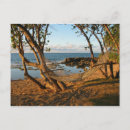 Suche nach traumland poster Entspannung