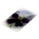 Suche nach panik magnete Violett