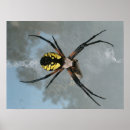 Suche nach spid poster Halloween