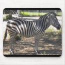 Suche nach schwarz weiße pferde mousepads Afrika