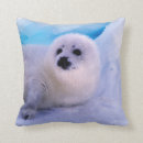 Suche nach siegel auf einem kissen Niedlich