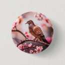 Suche nach tauben buttons Farbe