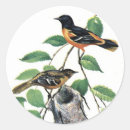Suche nach baltimore aufkleber Orioles
