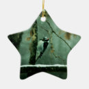 Suche nach specht ornamente Winter