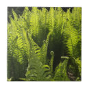 Suche nach farn fliesen Grün