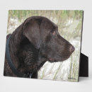 Suche nach schokolade fotoplatten Hund