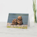 Suche nach tierfamilie karten Braunbär