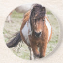 Suche nach equus untersetzer Fell