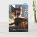 Suche nach torti postkarten Tiere