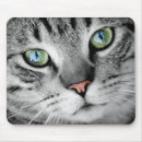 Suche nach katzen mit grünen augen mousepads Niedlich