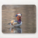 Suche nach mandarine mousepads Natur