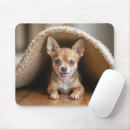 Suche nach chihuahua hund mousepads Kaninchen