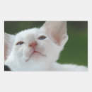 Suche nach große ohren aufkleber Weiß