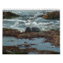 Suche nach tiere kalender 2026