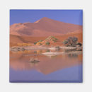 Suche nach namib magnete Sand
