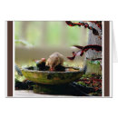 Suche nach lebenden toten postkarten Natur