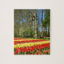 Suche nach rote tulpen puzzle Gelb
