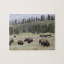 Suche nach yellowstone puzzle Wild lebende tiere