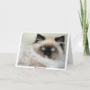 Suche nach haustierliebhaber karten Katze