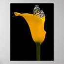 Suche nach schwarz gelb poster Kühn