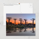 Suche nach allee postkarten Madagaskar
