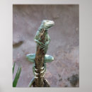 Suche nach leguane poster Reptilien