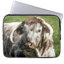 Suche nach cow laptop schutzhüllen Rinder